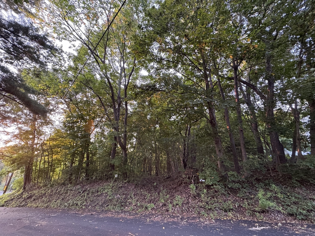 0 North Street North Brookfield, MA 01535 - Photo 14 of 14 a view of a forest