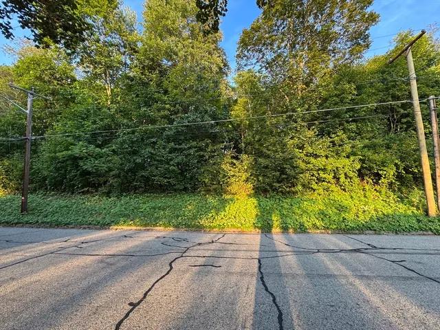 a view of a yard with plants and trees beside of it