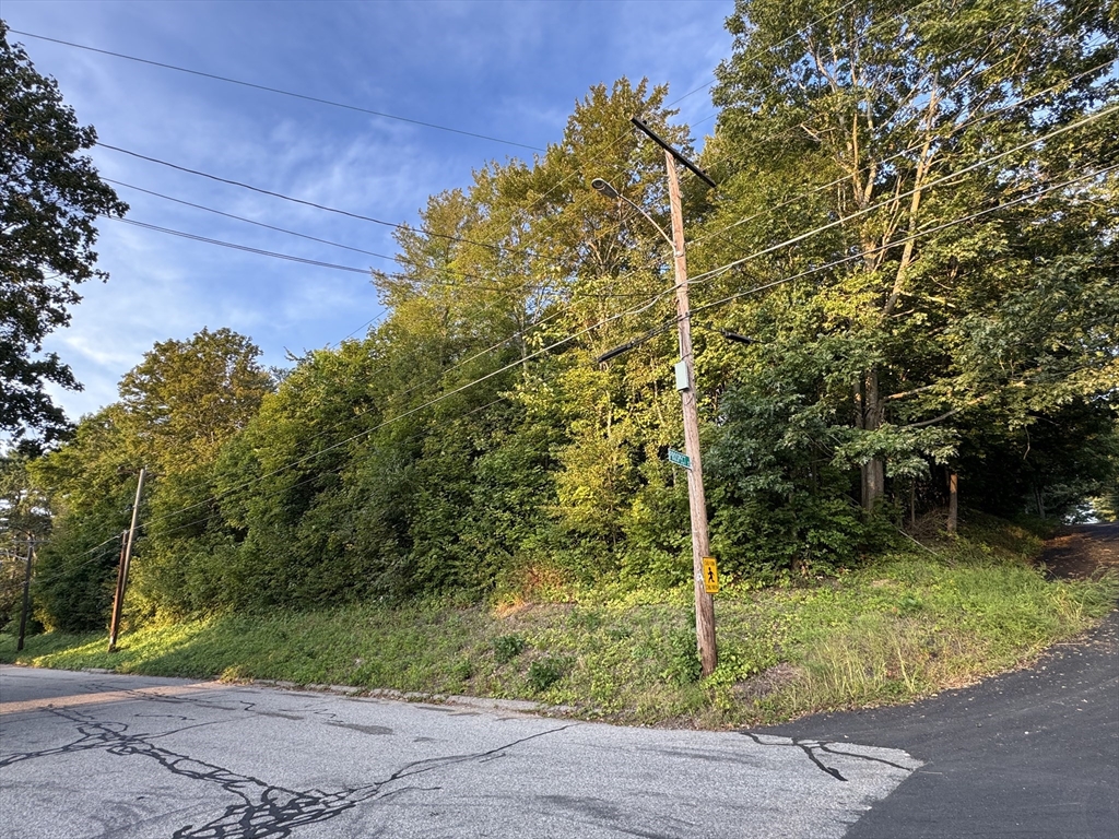 0 North Street North Brookfield, MA 01535 - Photo 4 of 14 a backyard of a house with plants and large trees