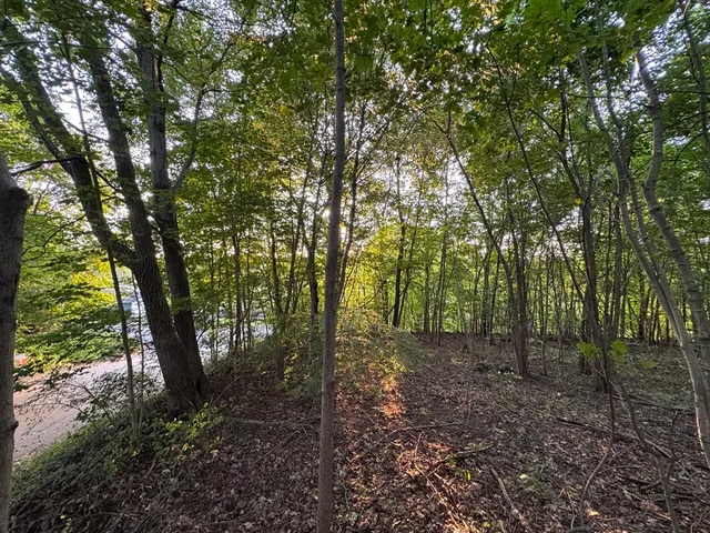 a view of outdoor space and green space