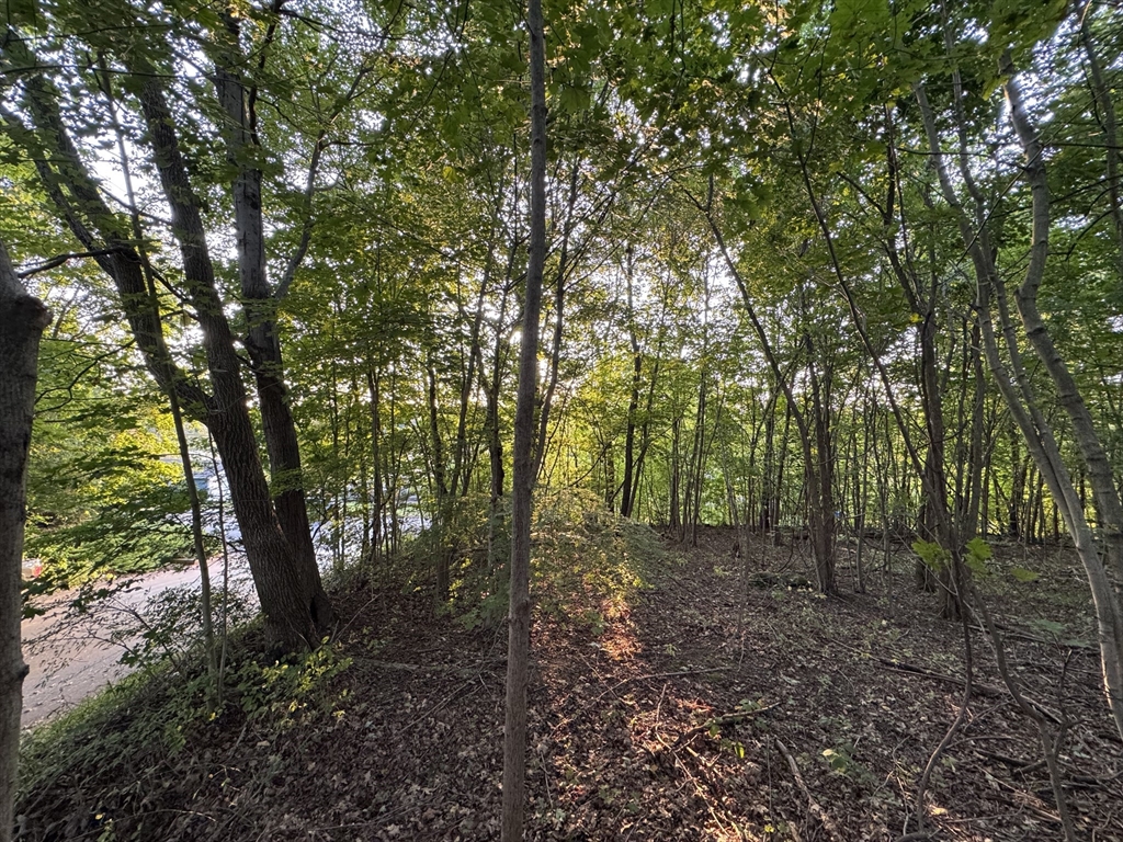 0 North Street North Brookfield, MA 01535 - Photo 5 of 14 a view of outdoor space and green space