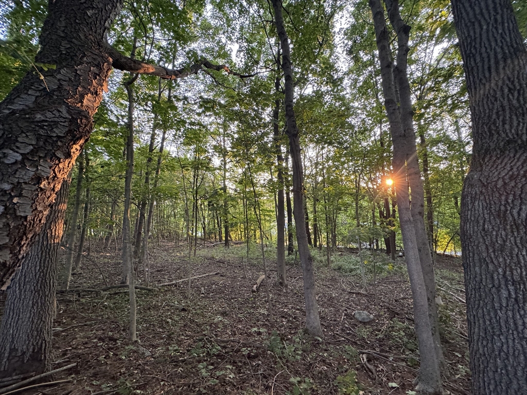 0 North Street North Brookfield, MA 01535 - Photo 10 of 14 a view of a forest with trees