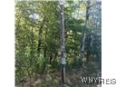 11540 Bolton Road Yorkshire, NY 14141 - Photo 6 of 16 power pole