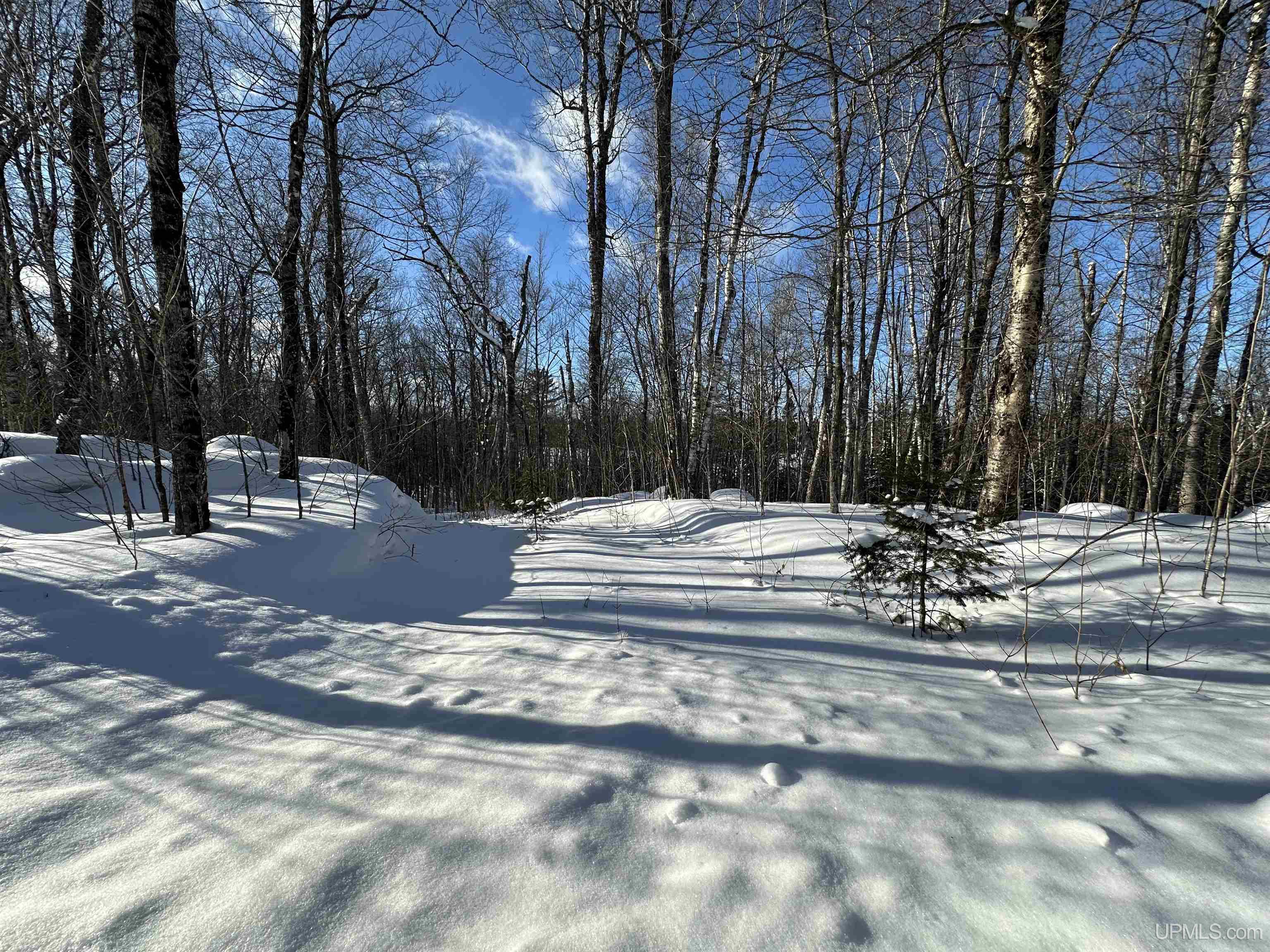 Lot 29 Secluded Point Road Michigamme, MI 49861 - Photo 11 of 21 Gallery Image 11