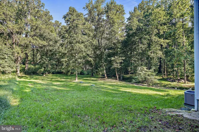 a view of a park with large trees