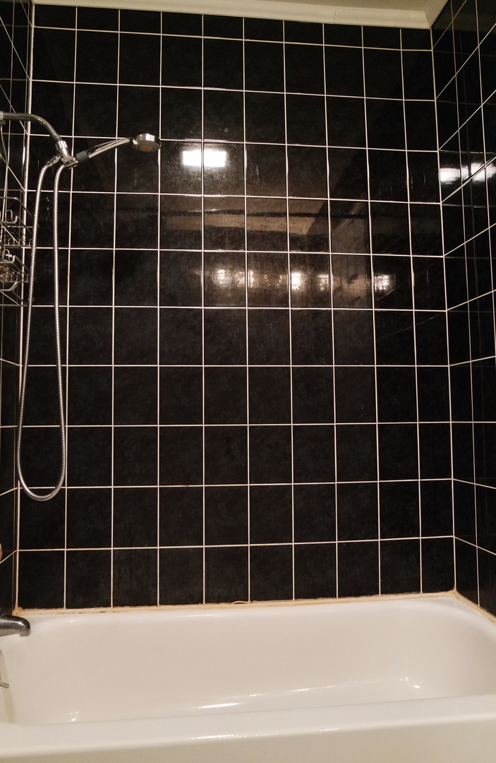 10369 Dearlove Road, Unit 2F Glenview, IL 60025 - Photo 12 of 19