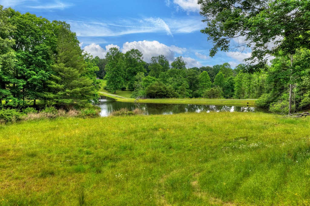 20.11 Mountain View Road McCaysville, GA 30555 - Photo 46 of 51