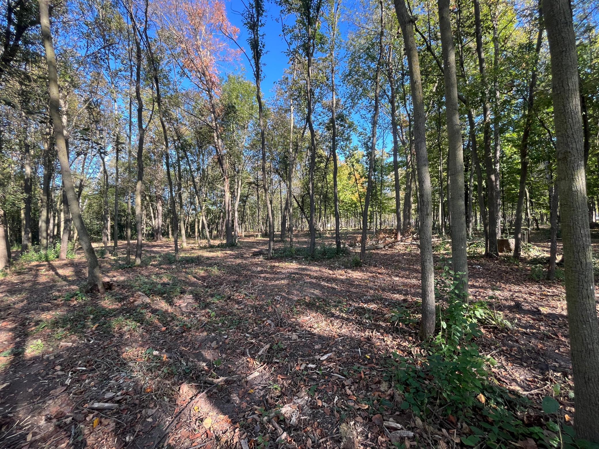 917 Scharbillig Court Rice Lake, WI 54868 - Photo 11 of 11