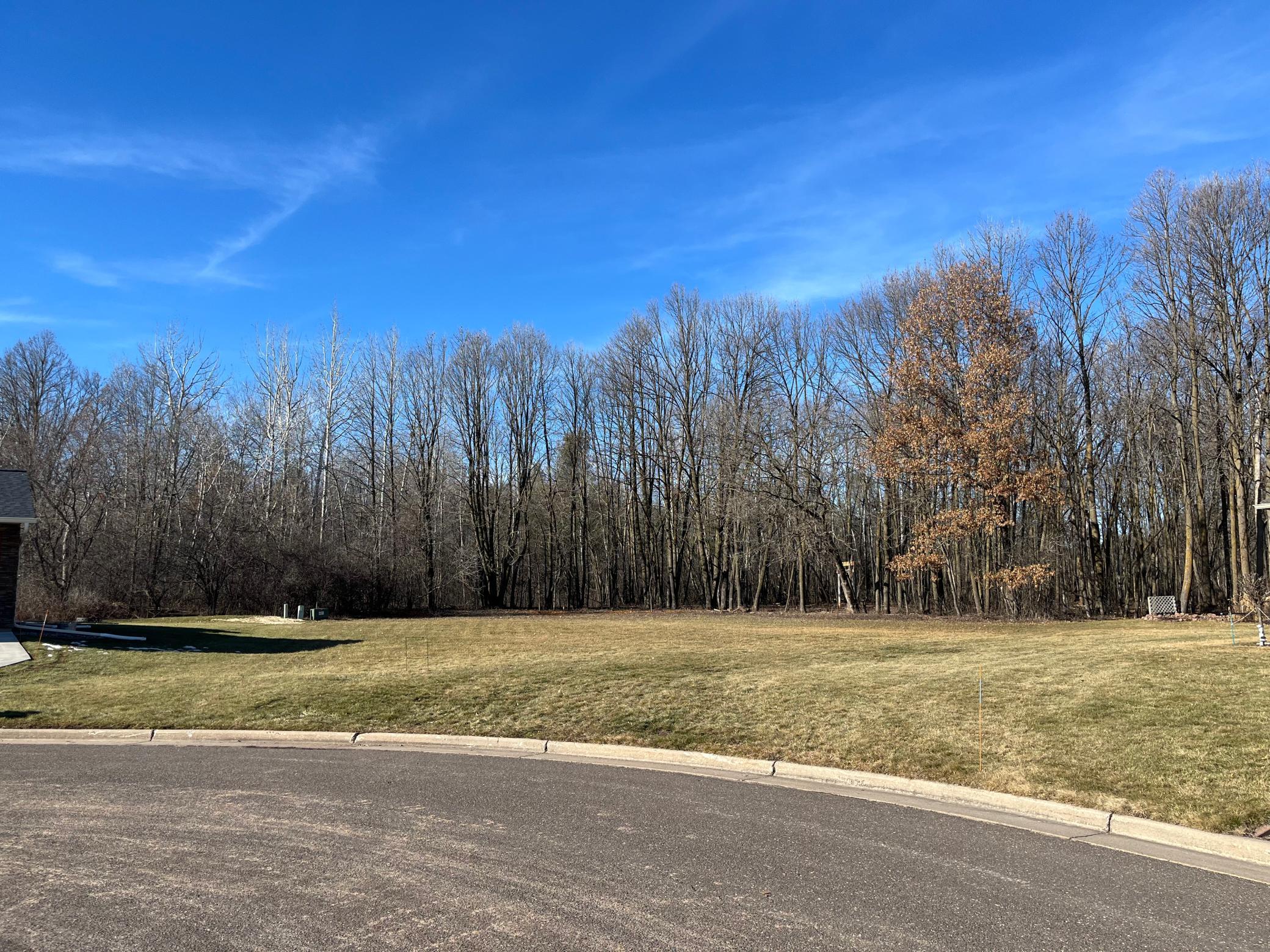 917 Scharbillig Court Rice Lake, WI 54868 - Photo 5 of 11