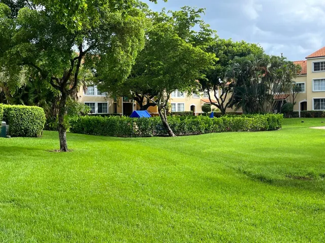 a view of a garden with a tree