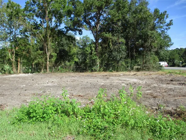 a view of a yard with a tree