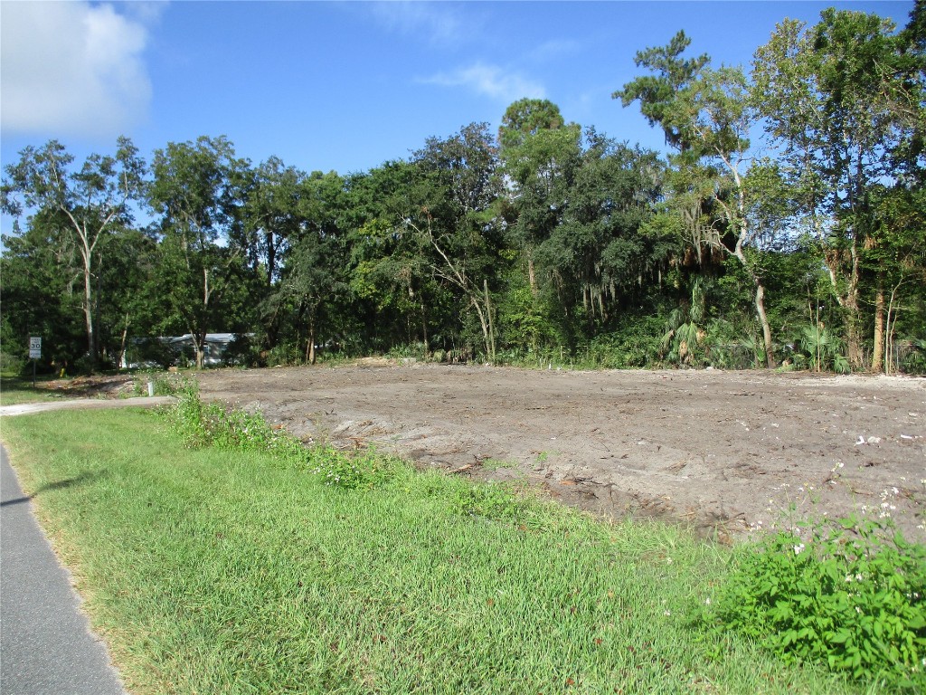 44931 Artesian Boulevard Callahan, FL 32011 - Photo 3 of 10 a backyard of a house with lots of green space