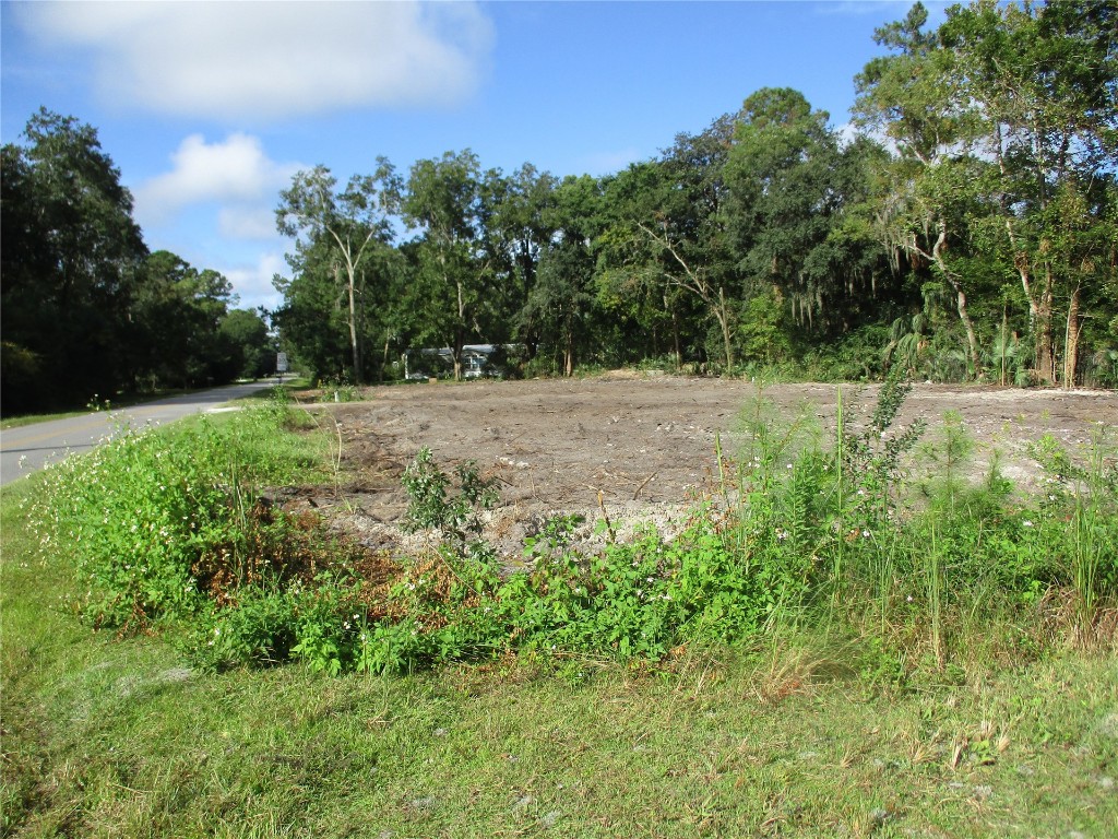 44931 Artesian Boulevard Callahan, FL 32011 - Photo 6 of 10 a view of outdoor space and yard