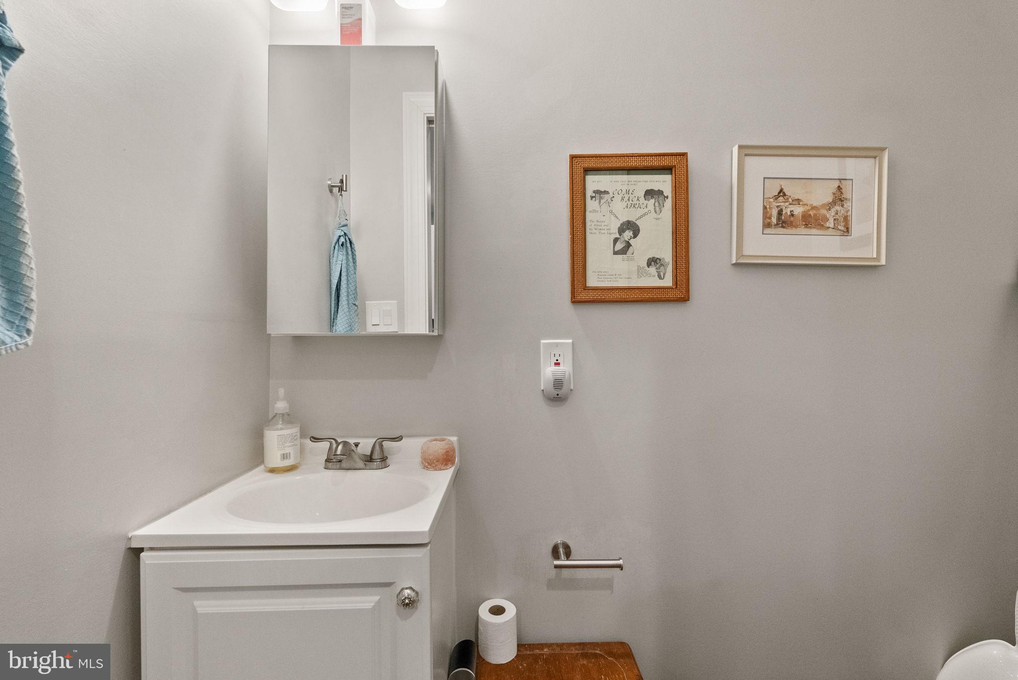 1018 13th Street Southeast, Unit 2 Washington, DC 20003 - Photo 17 of 30 a bathroom with a sink and a toilet