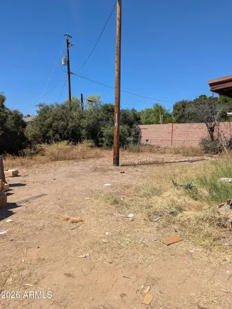 a view of a yard with a tree