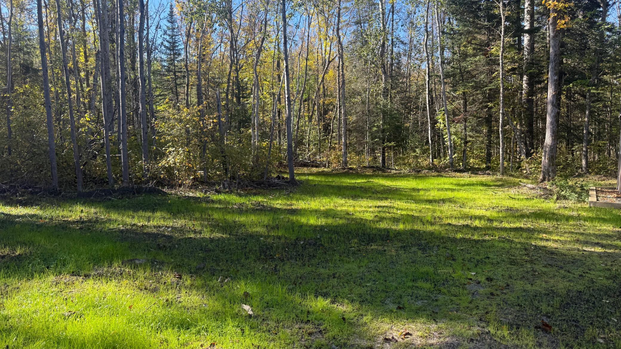 Parcel A Sunflower Road Northeast Kelliher, MN 56650 - Photo 29 of 36 Gallery Image 29