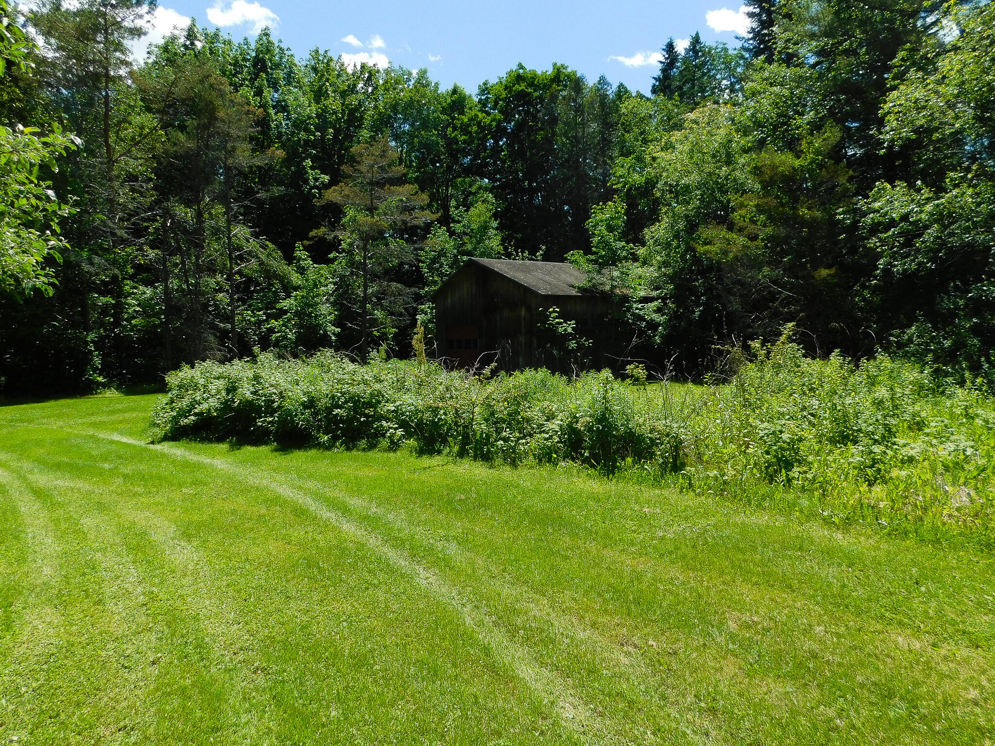 59 Woodbridge Corner Road Sherman, ME 04776 - Photo 29 of 38 DSCN0545
