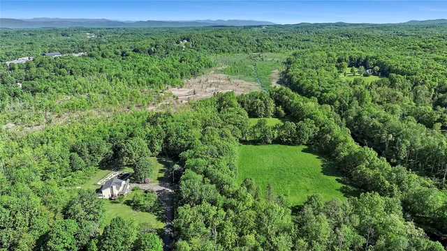 a view of a lush green forest with trees in the background