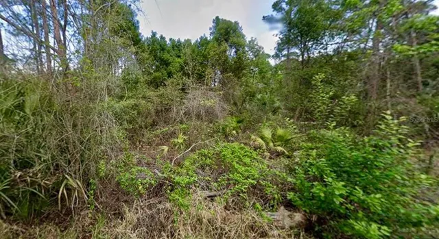 $125,000 | 31217 Lorine Street, DeLand, FL 32720