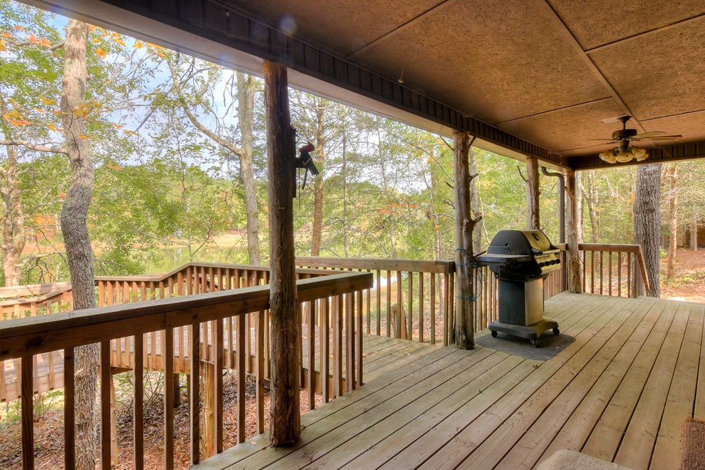 139 New Cut Road Troy, SC 29848 - Photo 3 of 36