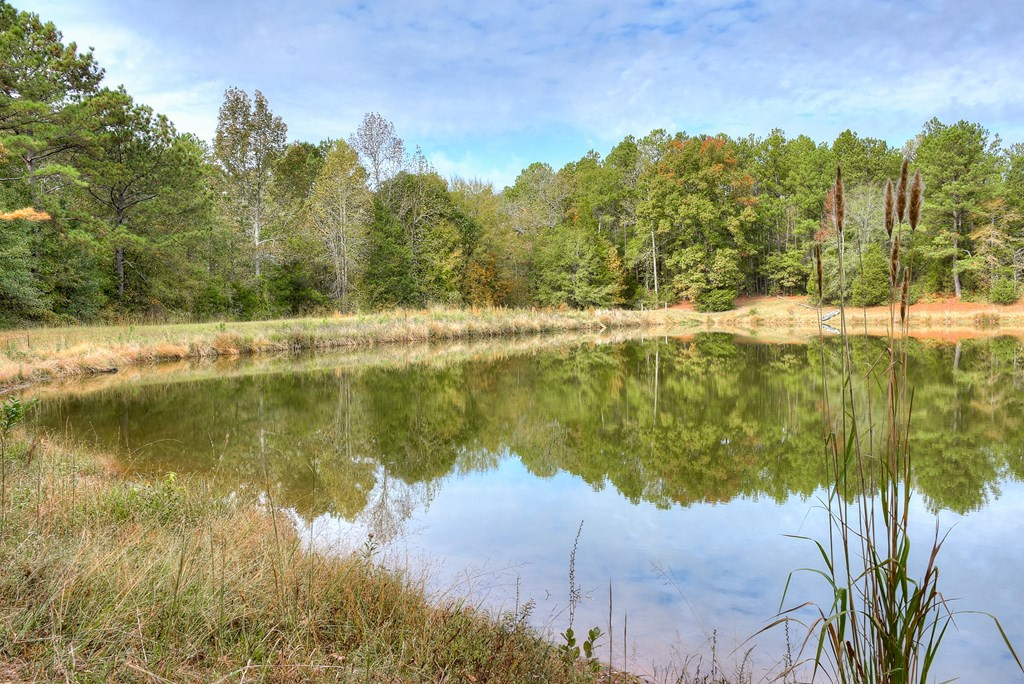 139 New Cut Road Troy, SC 29848 - Photo 8 of 36