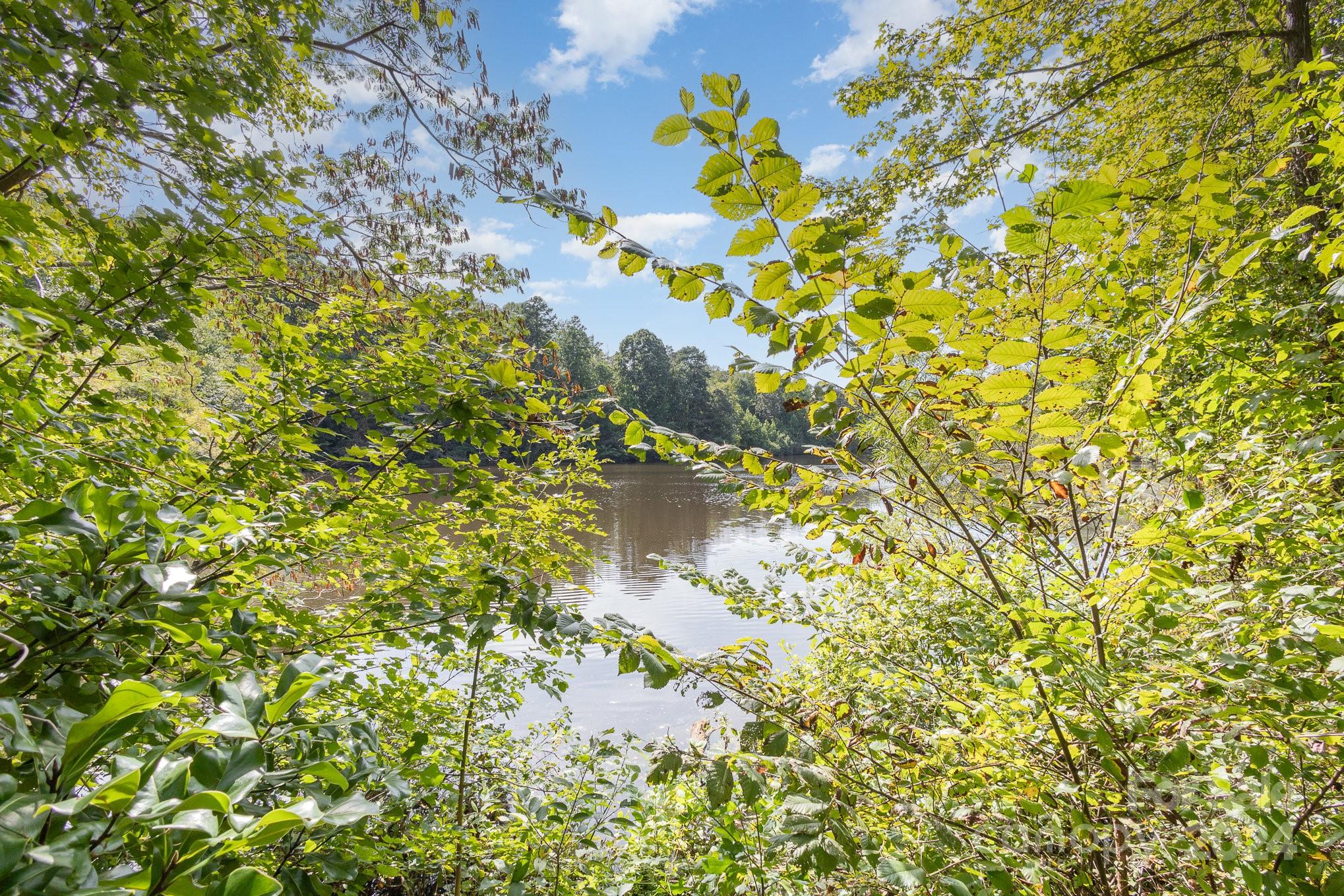 10625 East Lake Road Charlotte, NC 28215 - Photo 44 of 44 a view of a tree with a yard