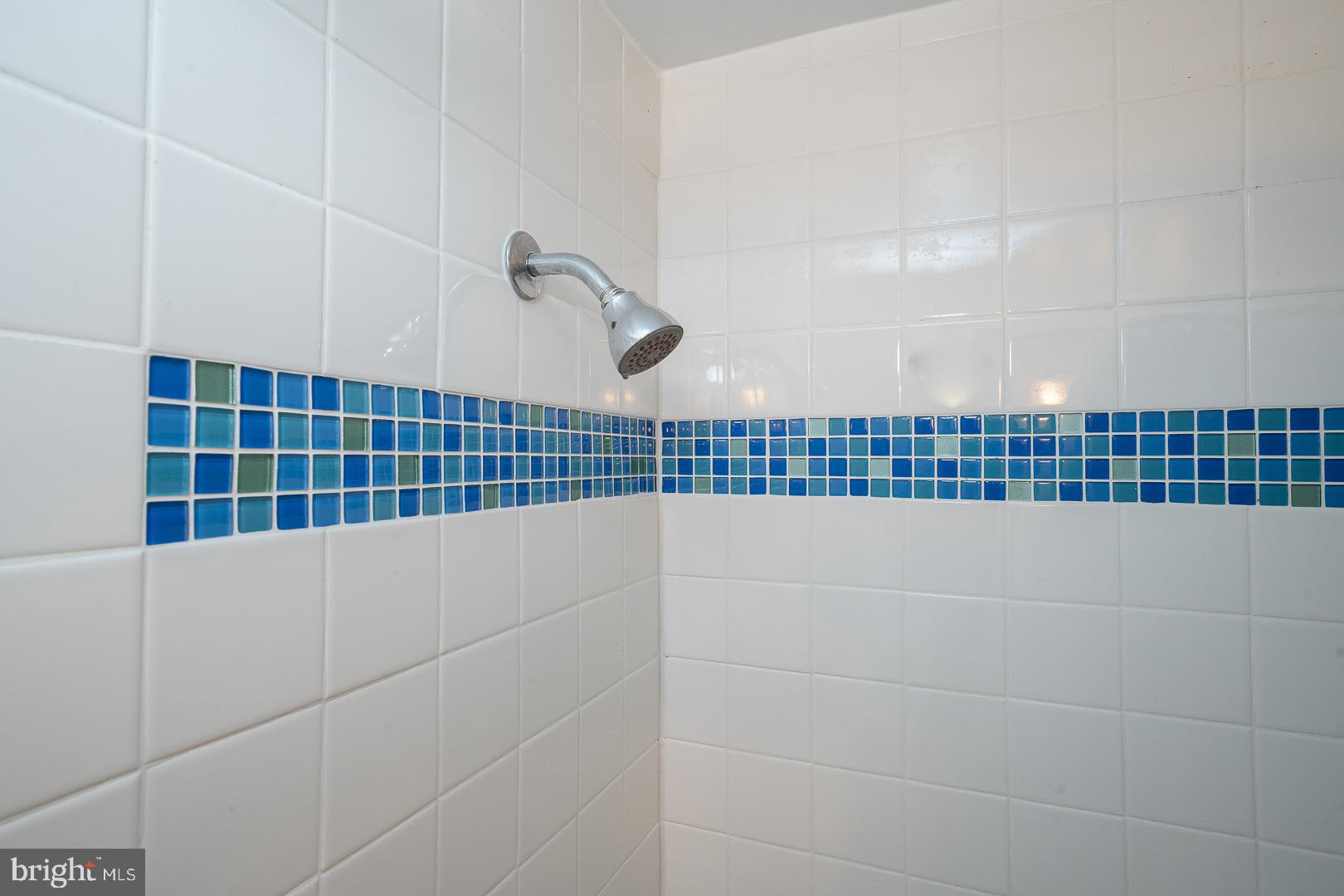 564 Forest Road Wayne, PA 19087 - Photo 23 of 61 Hall bath