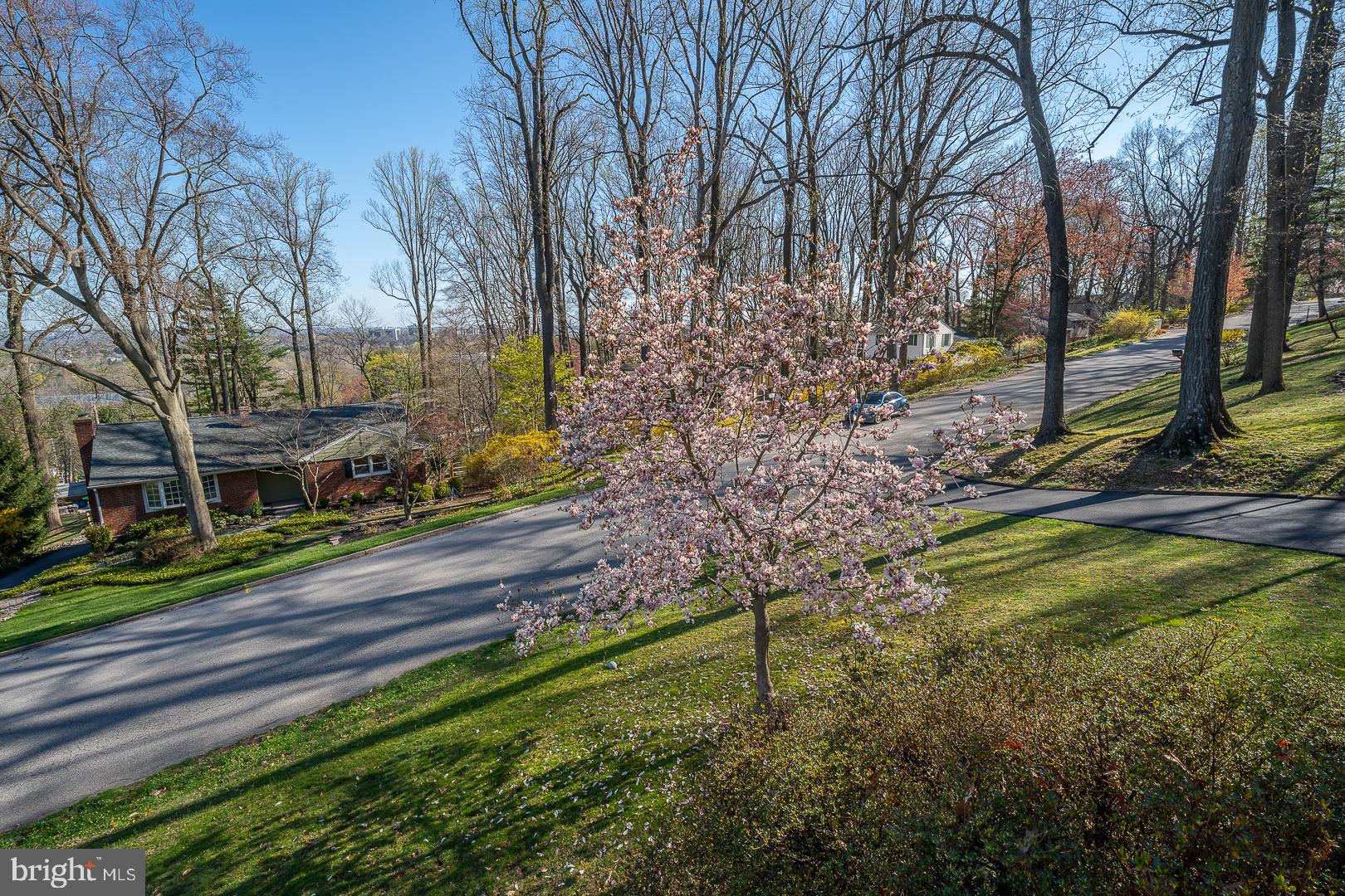 564 Forest Road Wayne, PA 19087 - Photo 57 of 61 Front yard