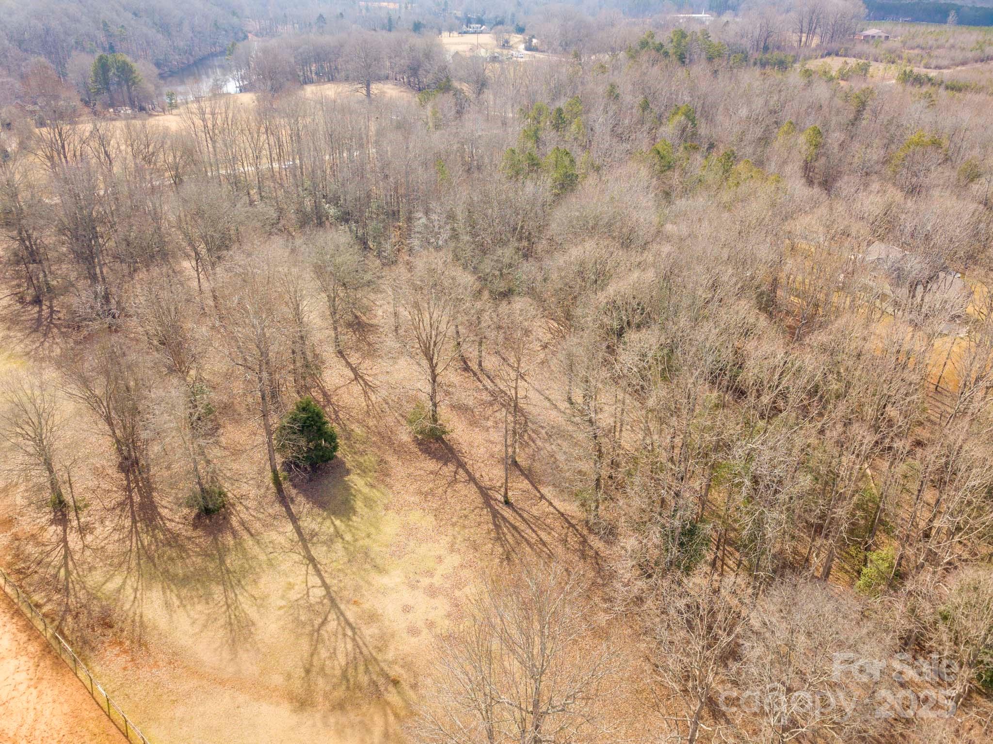 0 Obenosky Road Lancaster, SC 29720 - Photo 11 of 21 a picture of a tree