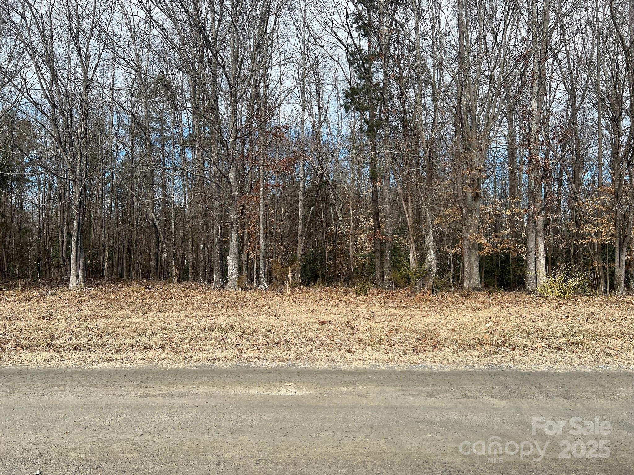 0 Obenosky Road Lancaster, SC 29720 - Photo 15 of 21 a view of a yard with trees