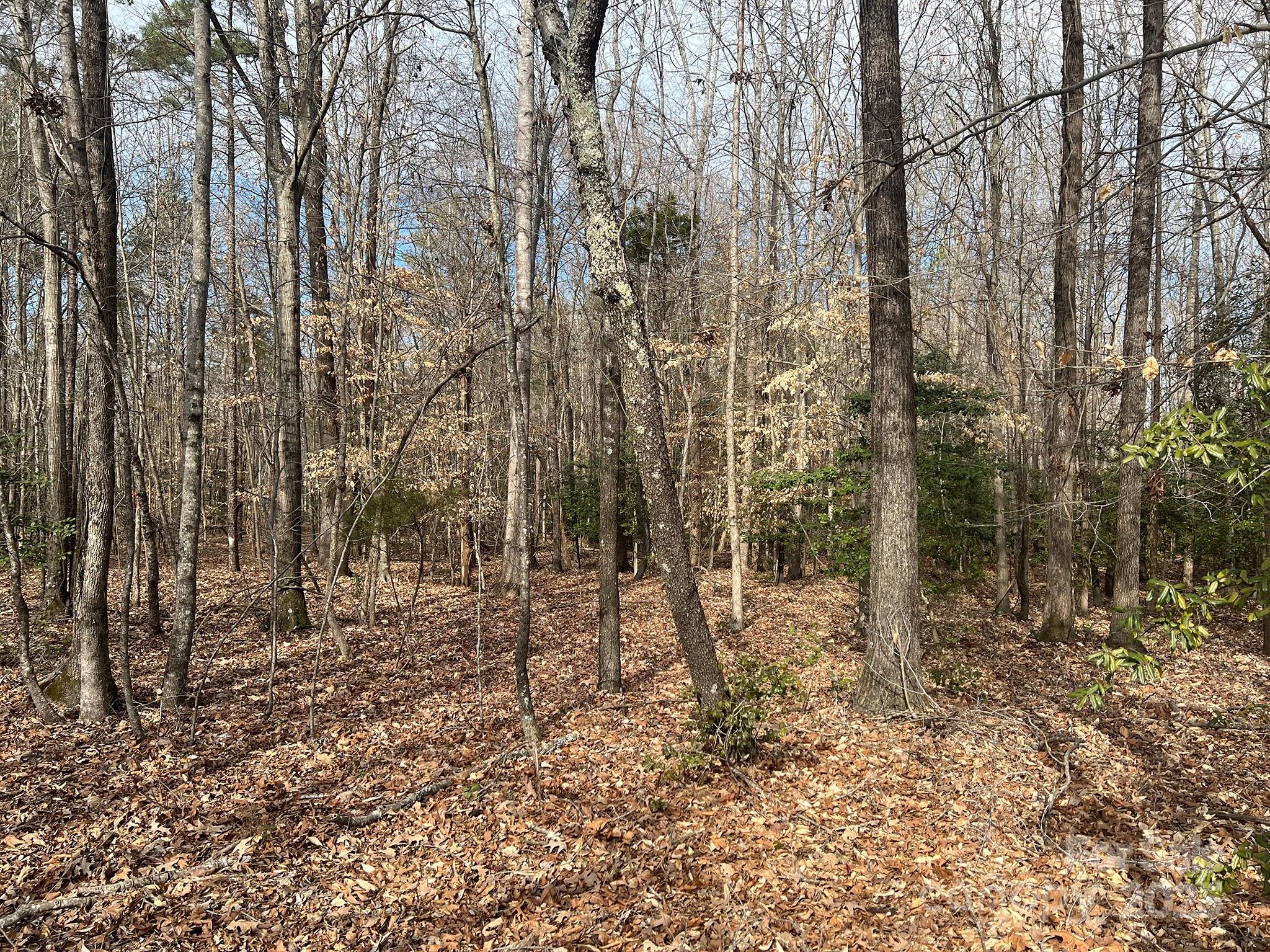 0 Obenosky Road Lancaster, SC 29720 - Photo 16 of 21 a view of a yard with trees