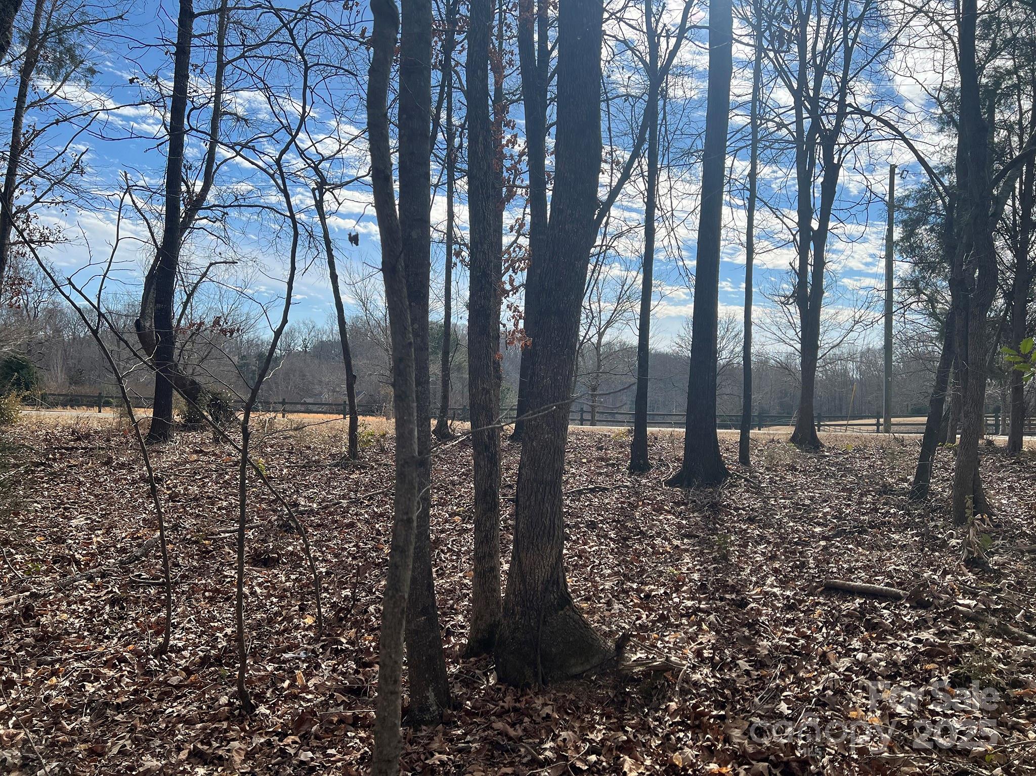0 Obenosky Road Lancaster, SC 29720 - Photo 18 of 21 a view of a yard with large trees