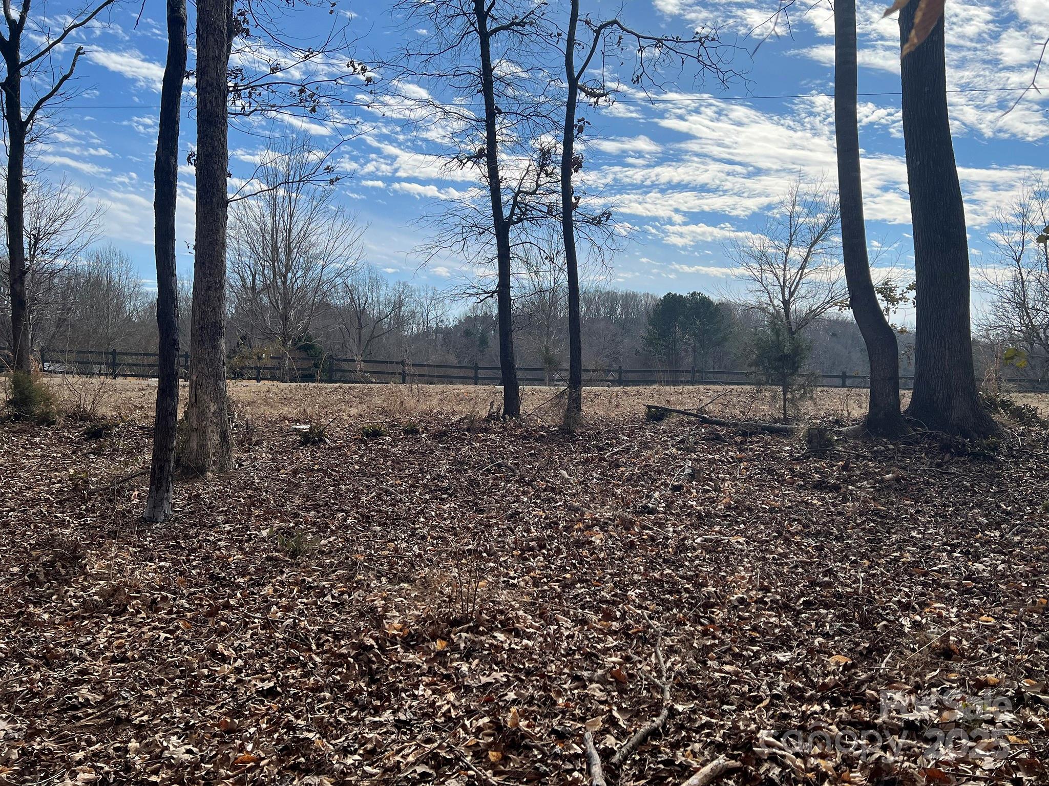 0 Obenosky Road Lancaster, SC 29720 - Photo 19 of 21 a view of a backyard with trees