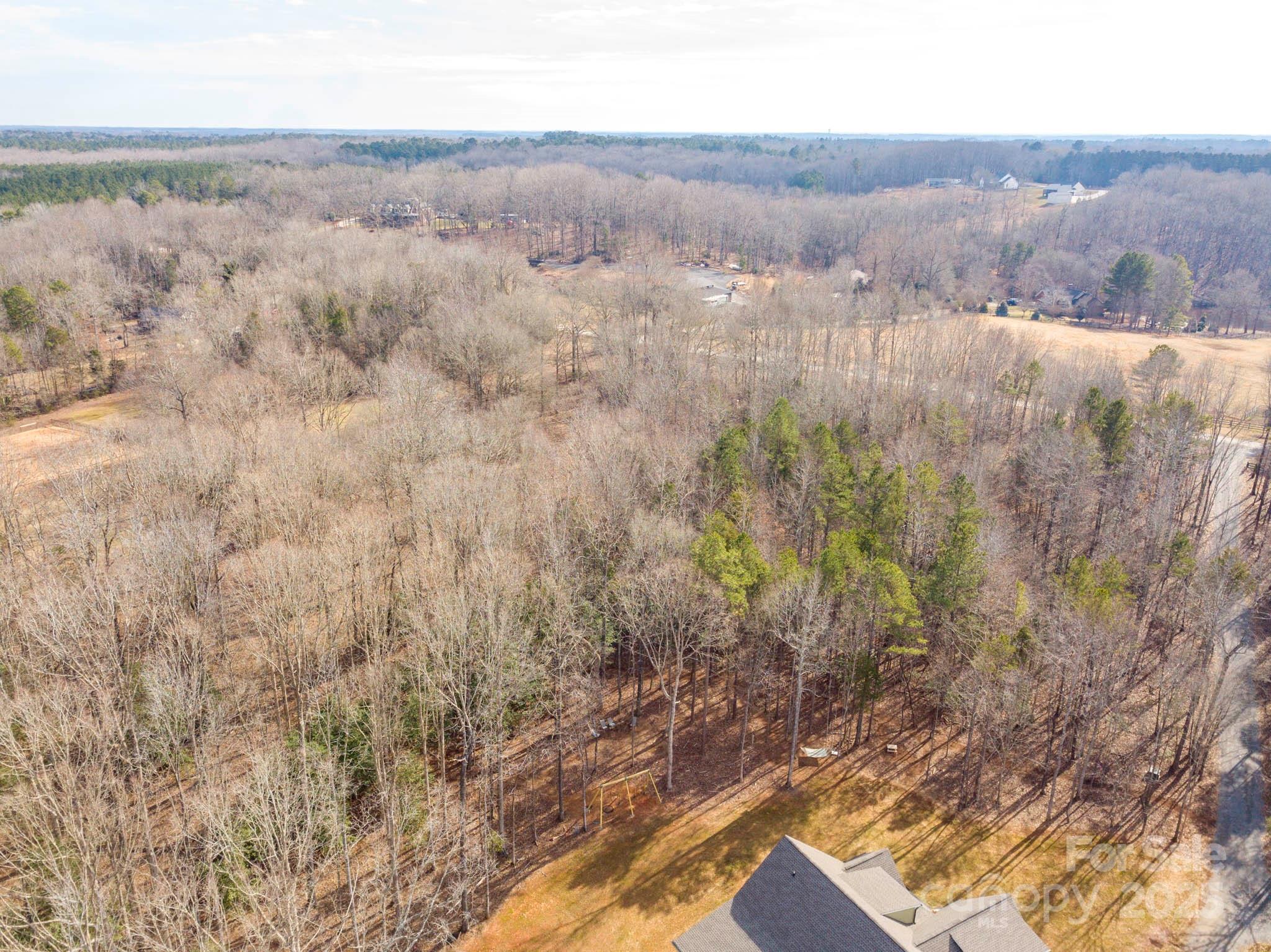 0 Obenosky Road Lancaster, SC 29720 - Photo 9 of 21 a view of a forest with trees in the background