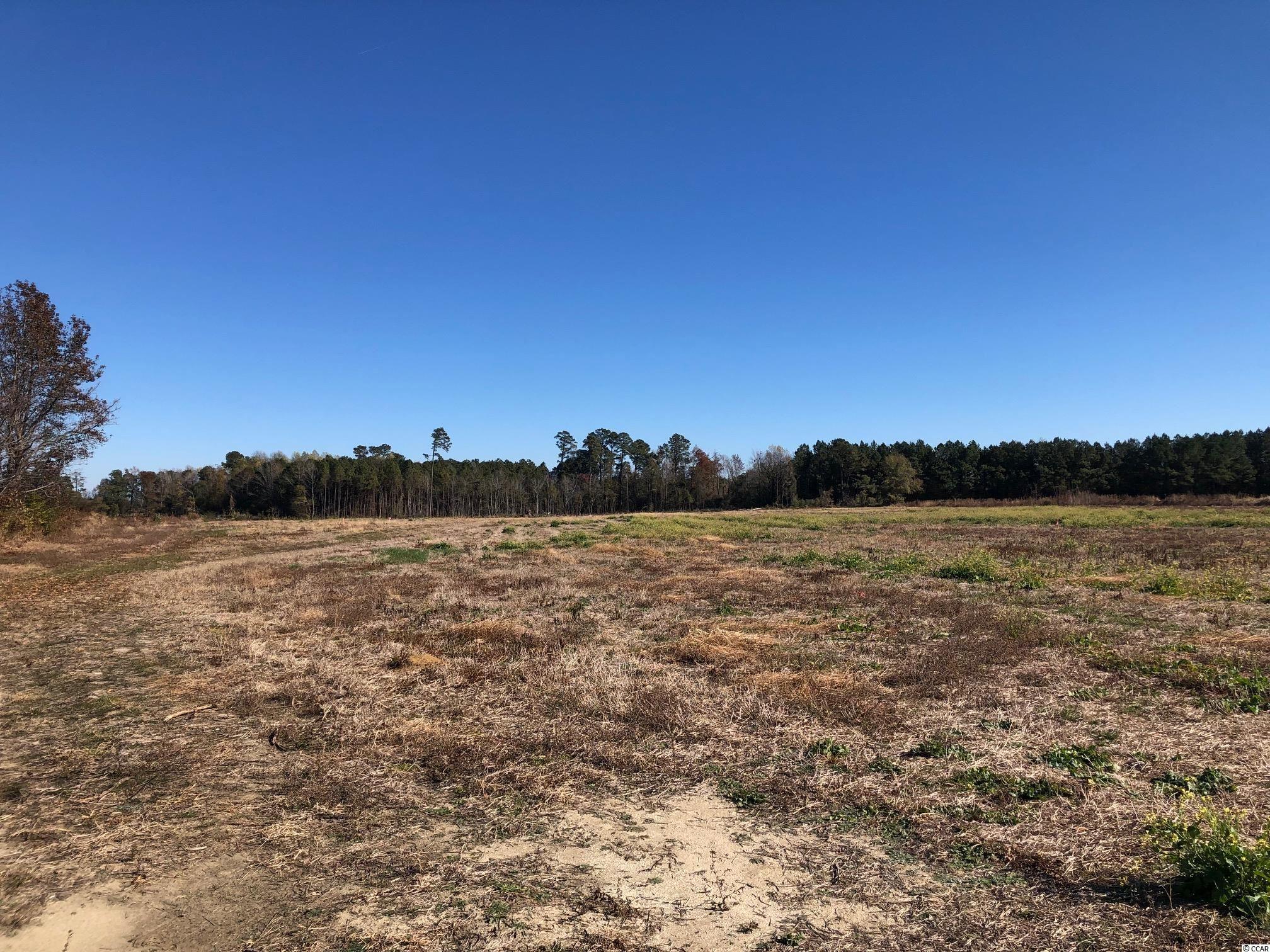 Tbd Tbd Fairbluff Rd Green Green Sea, SC 29545 - Photo 3 of 6 Gallery Image 3