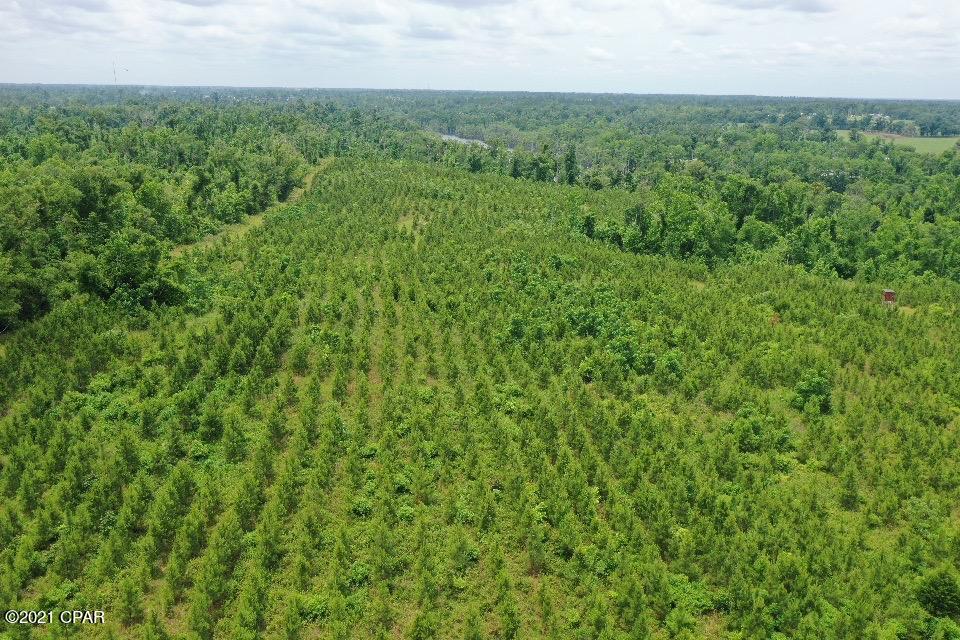 0 Poplar Springs Road Marianna, FL 32446 - Photo 22 of 23 Gallery Image 22