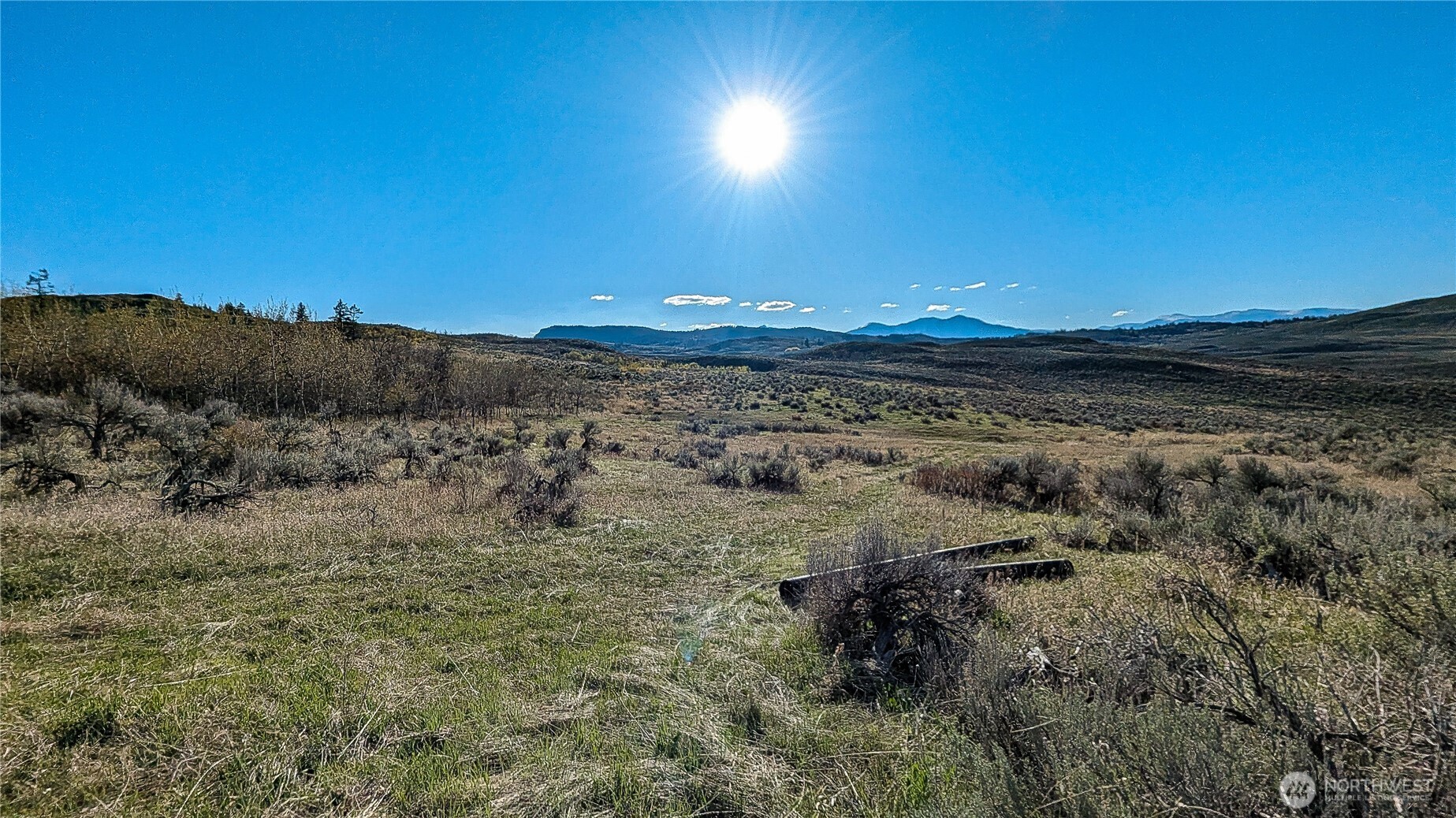 -nka Ellemeham Mountain Road Loomis, WA 98827 - Photo 20 of 25