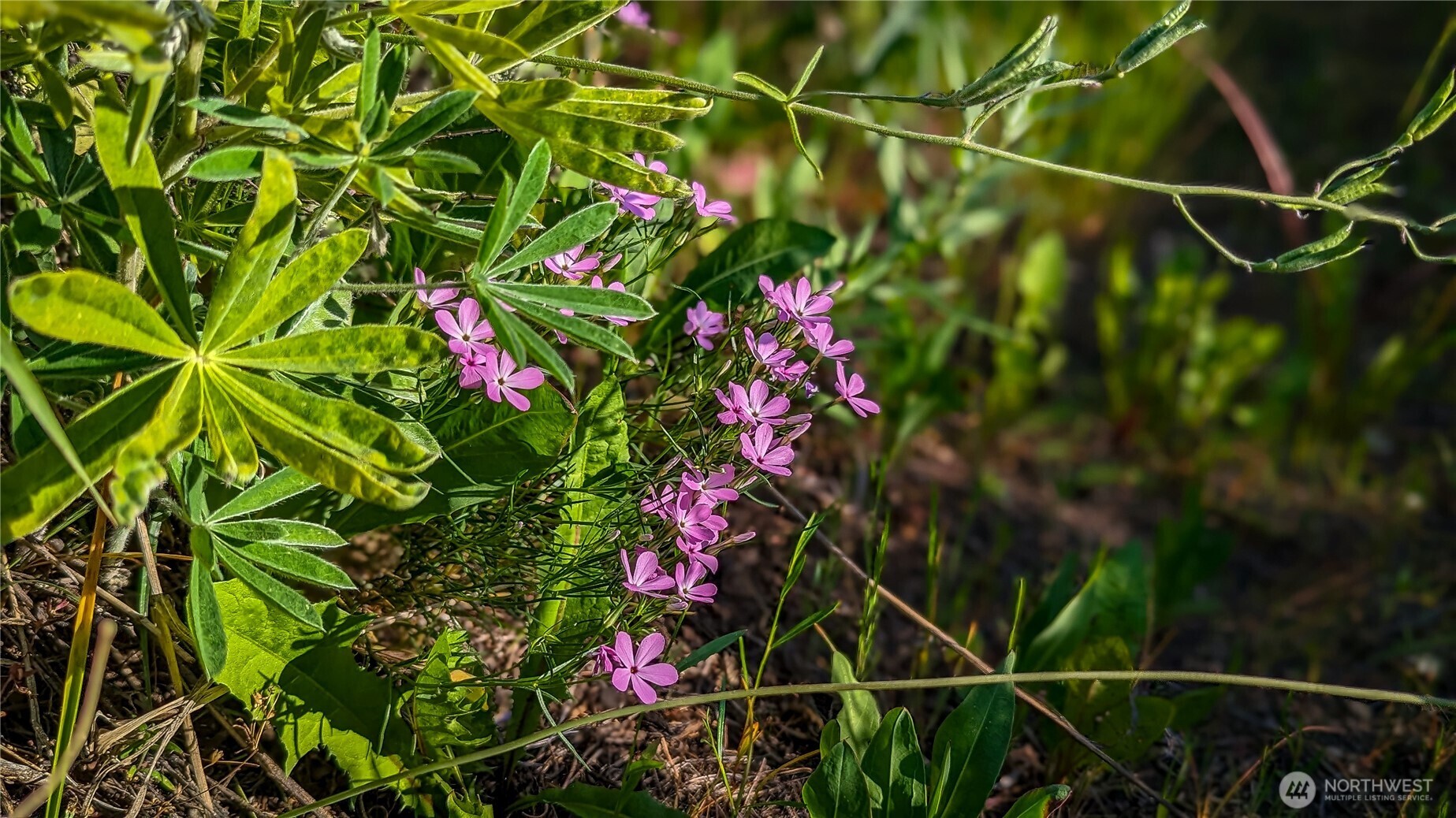 -nka Ellemeham Mountain Road Loomis, WA 98827 - Photo 24 of 25
