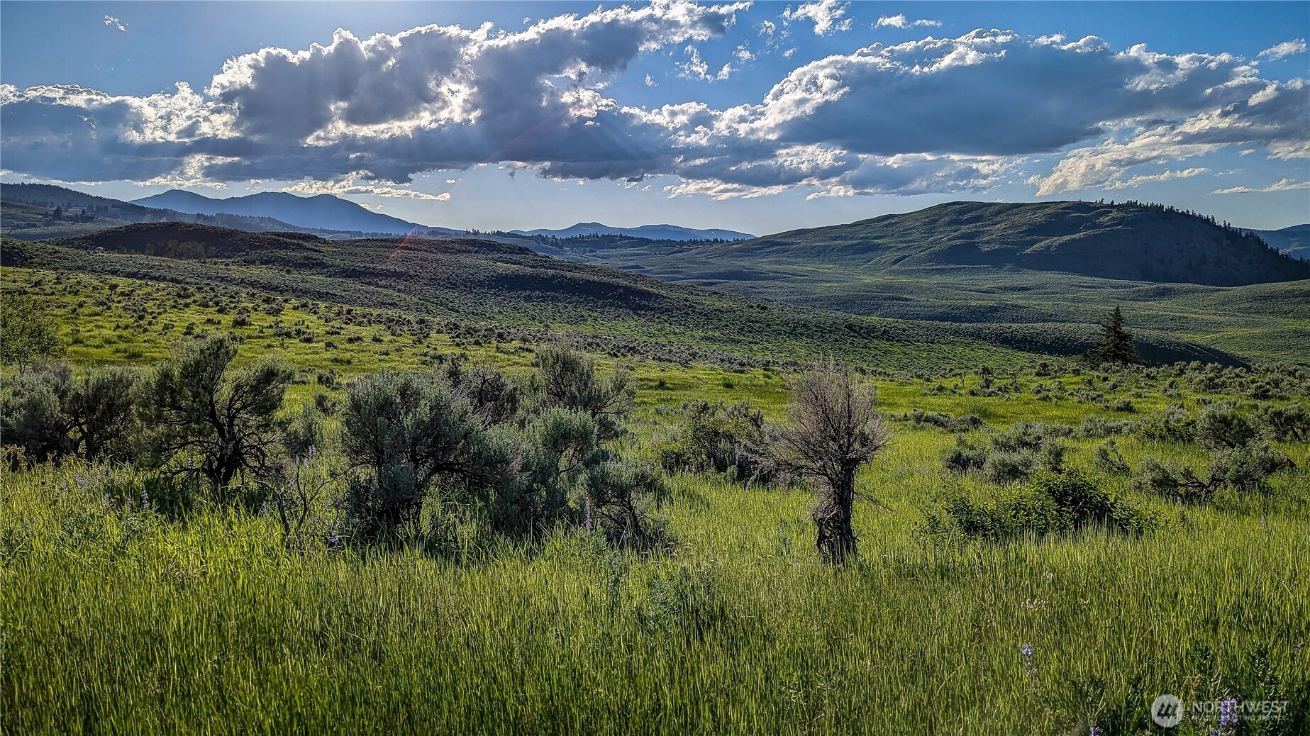 -nka Ellemeham Mountain Road Loomis, WA 98827 - Photo 3 of 25