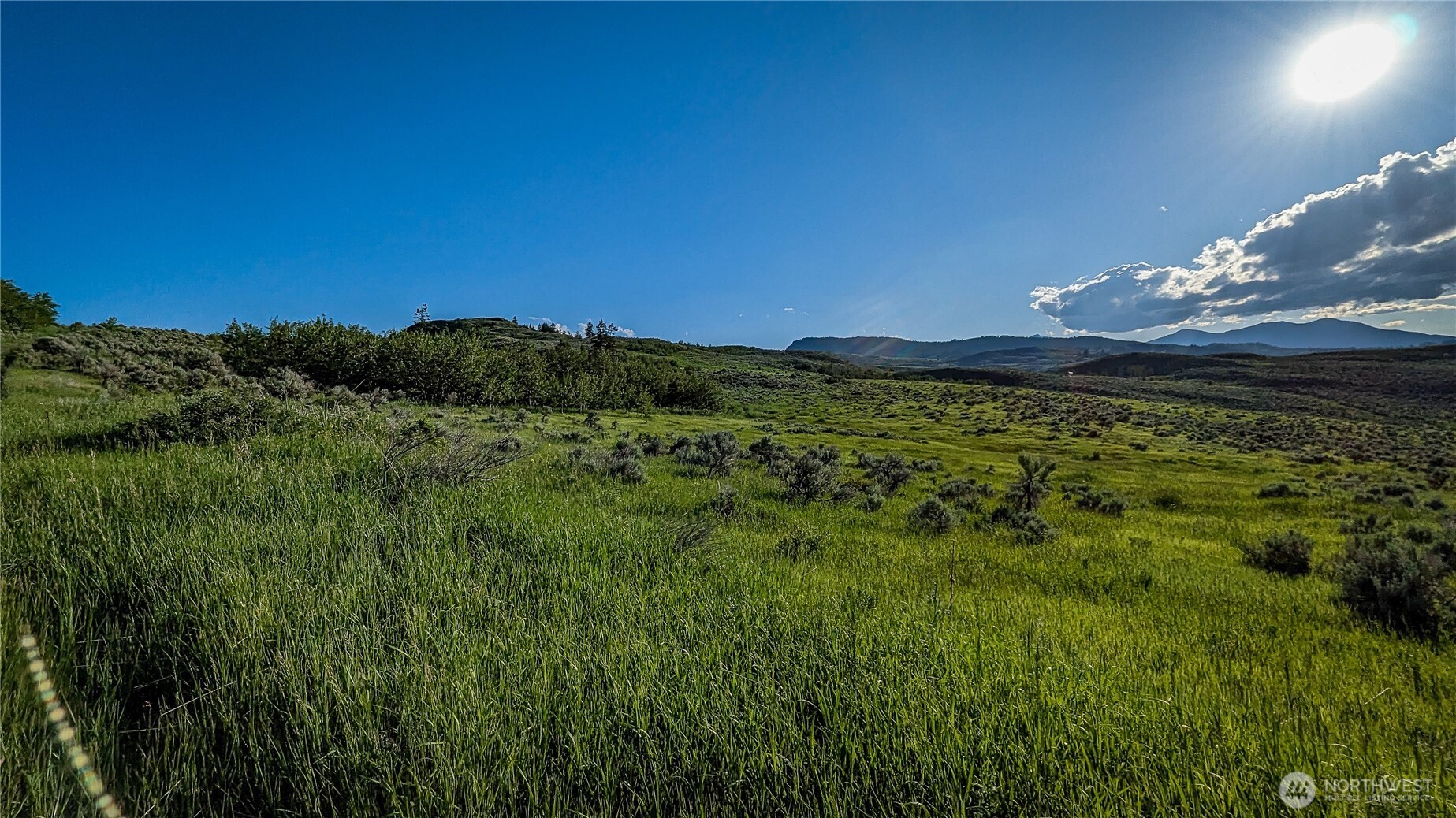 -nka Ellemeham Mountain Road Loomis, WA 98827 - Photo 7 of 25