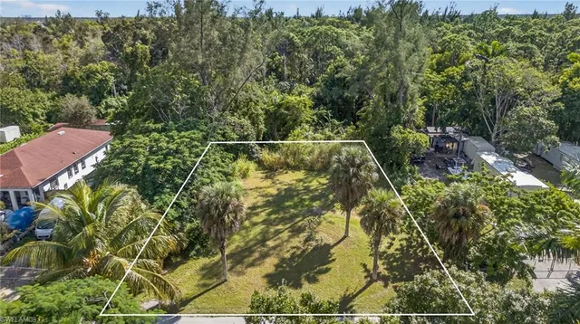 a view of a yard with a tree