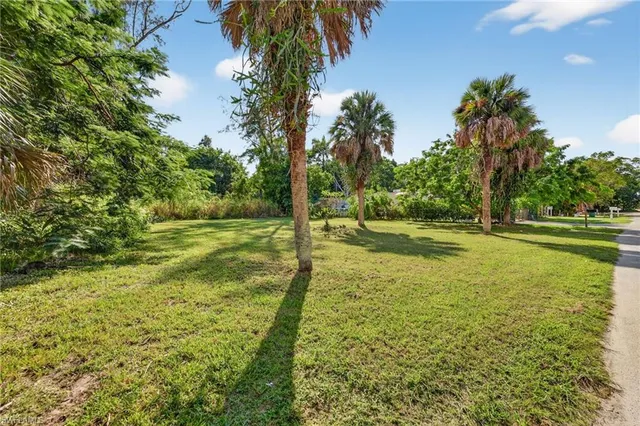 a view of a trees with a yard