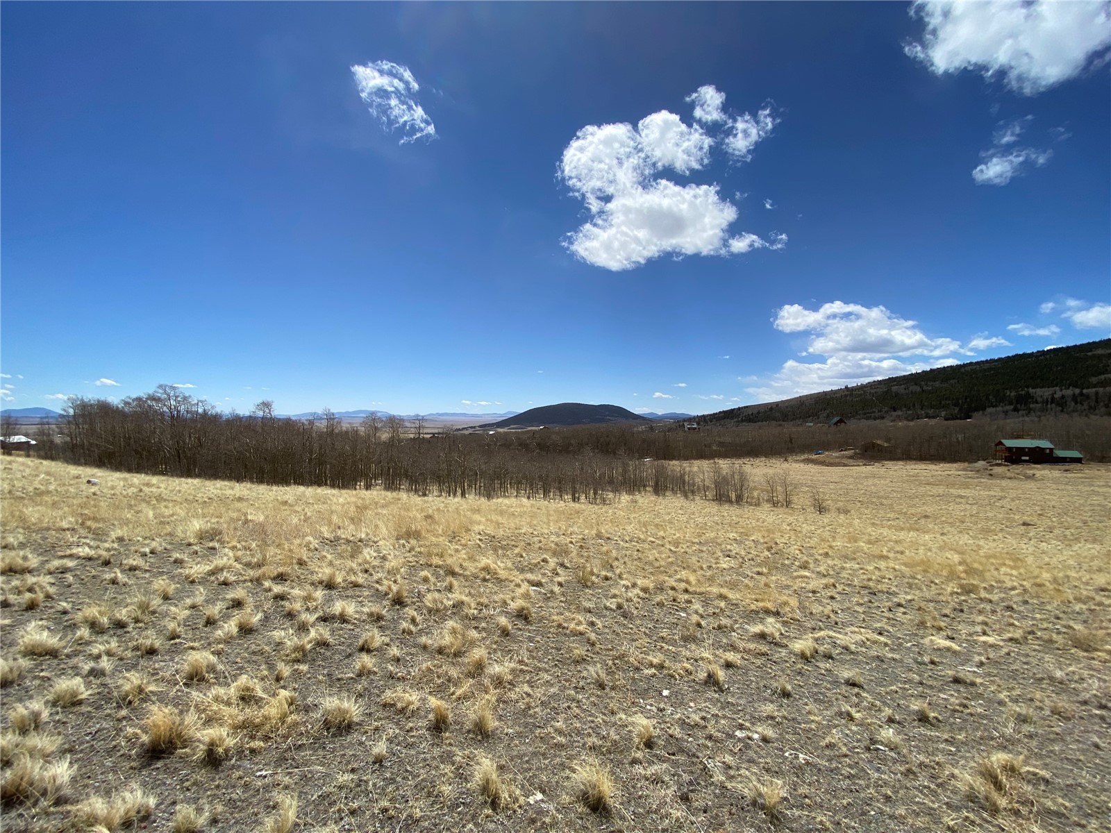 290 Sheep Ridge Road Fairplay, CO 80440 - Photo 30 of 40 Gallery Image 30
