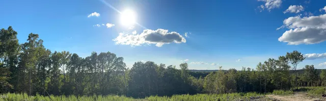 a view of a yard in a yard