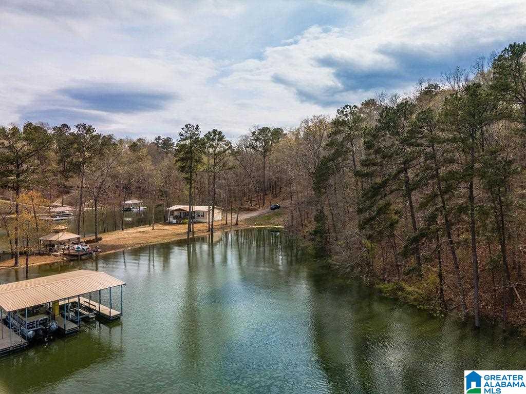 Smith Lake Dam Road Jasper, AL 35504 - Photo 13 of 15