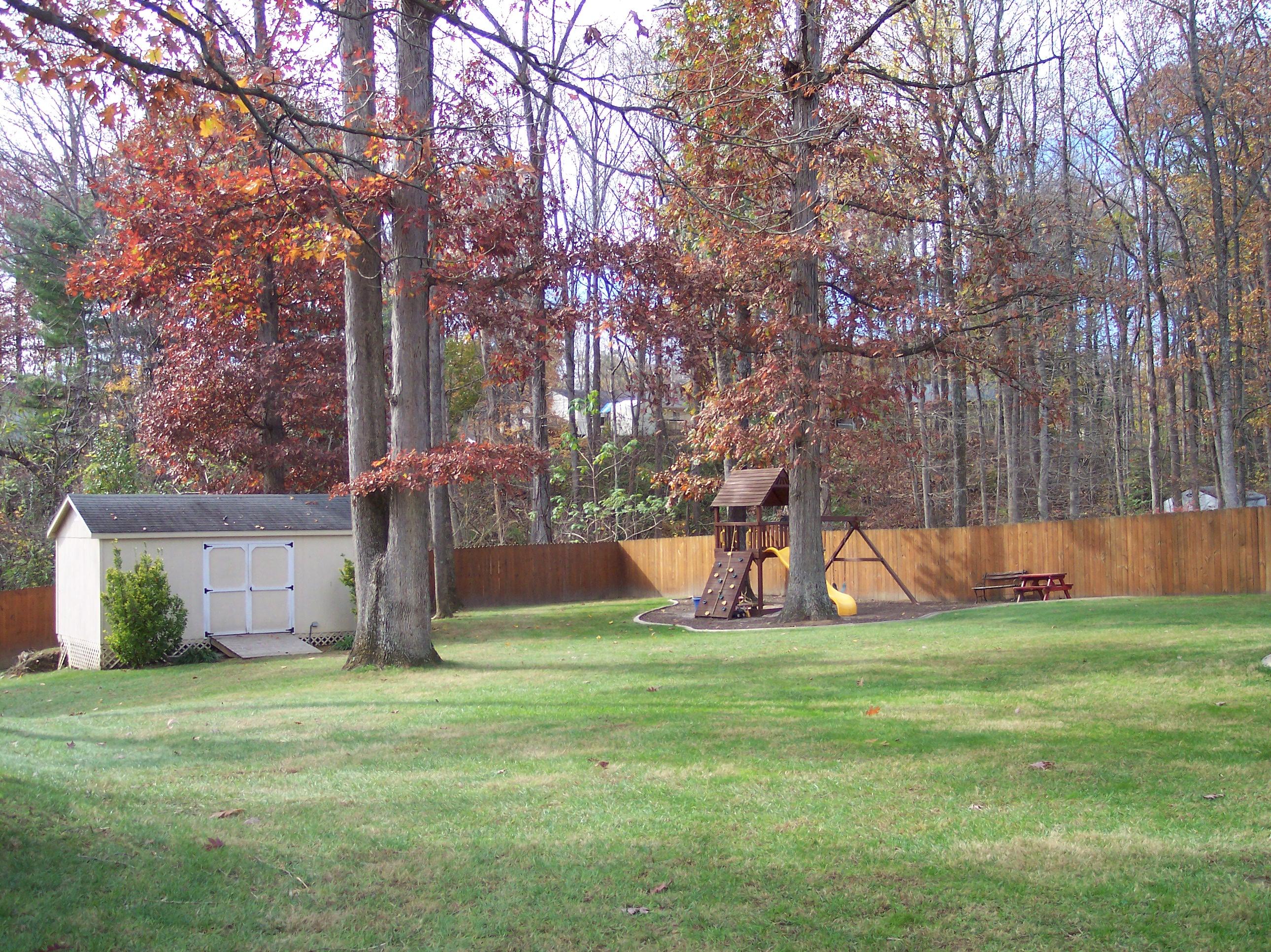 289 Scalybark Drive Blue Ridge, VA 24064 - Photo 2 of 73 Yard view