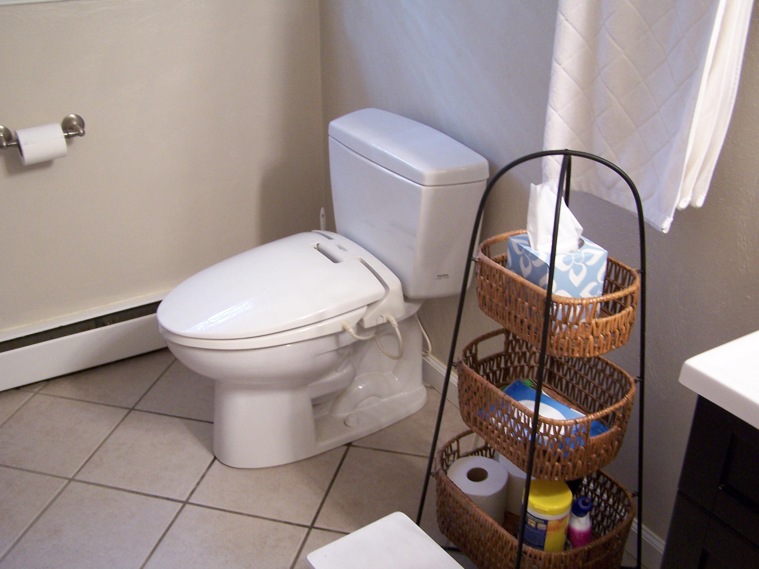 289 Scalybark Drive Blue Ridge, VA 24064 - Photo 19 of 73 a bathroom with a toilet and a mirror