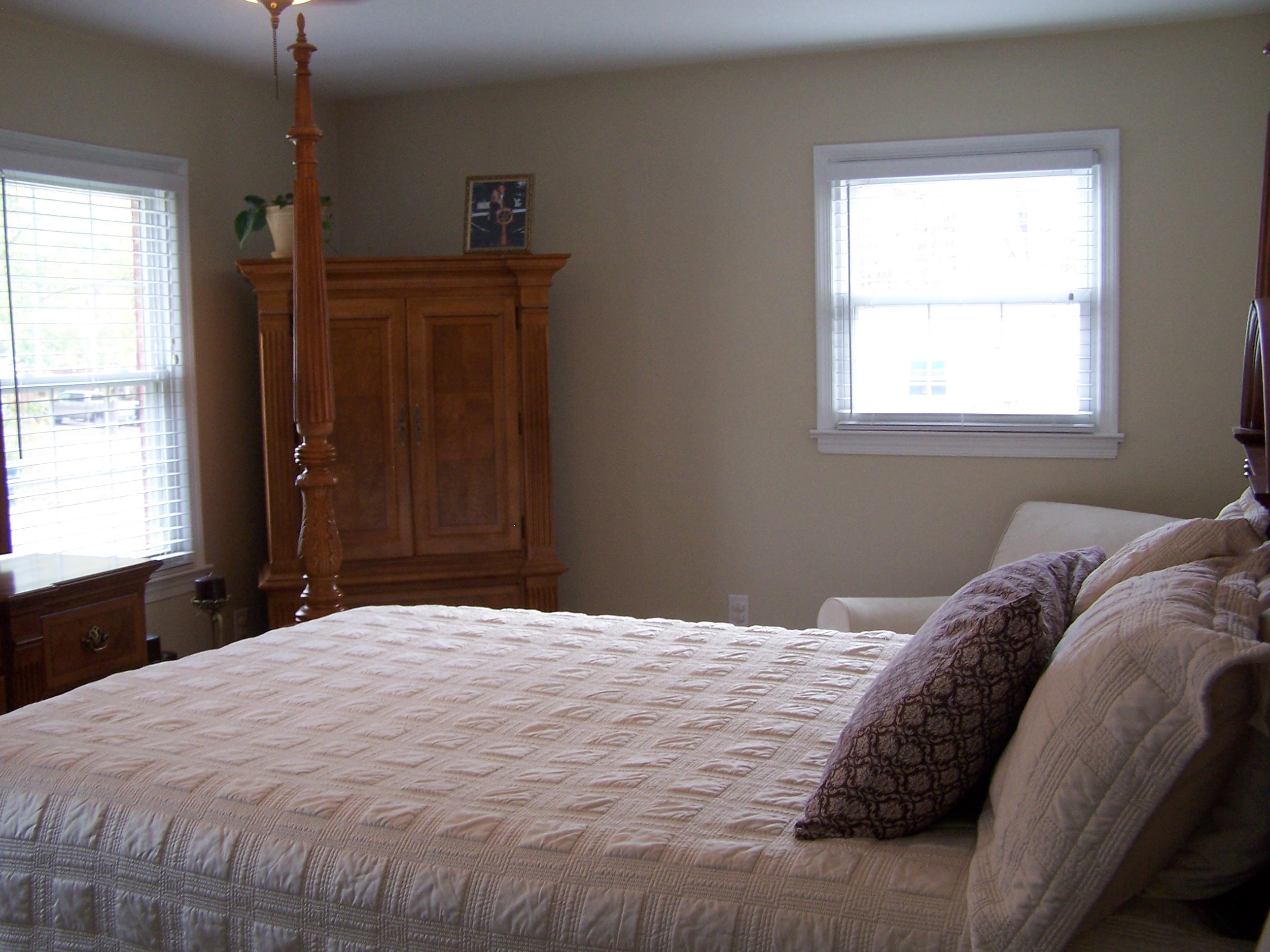 289 Scalybark Drive Blue Ridge, VA 24064 - Photo 22 of 73 Master Bedroom (2)
