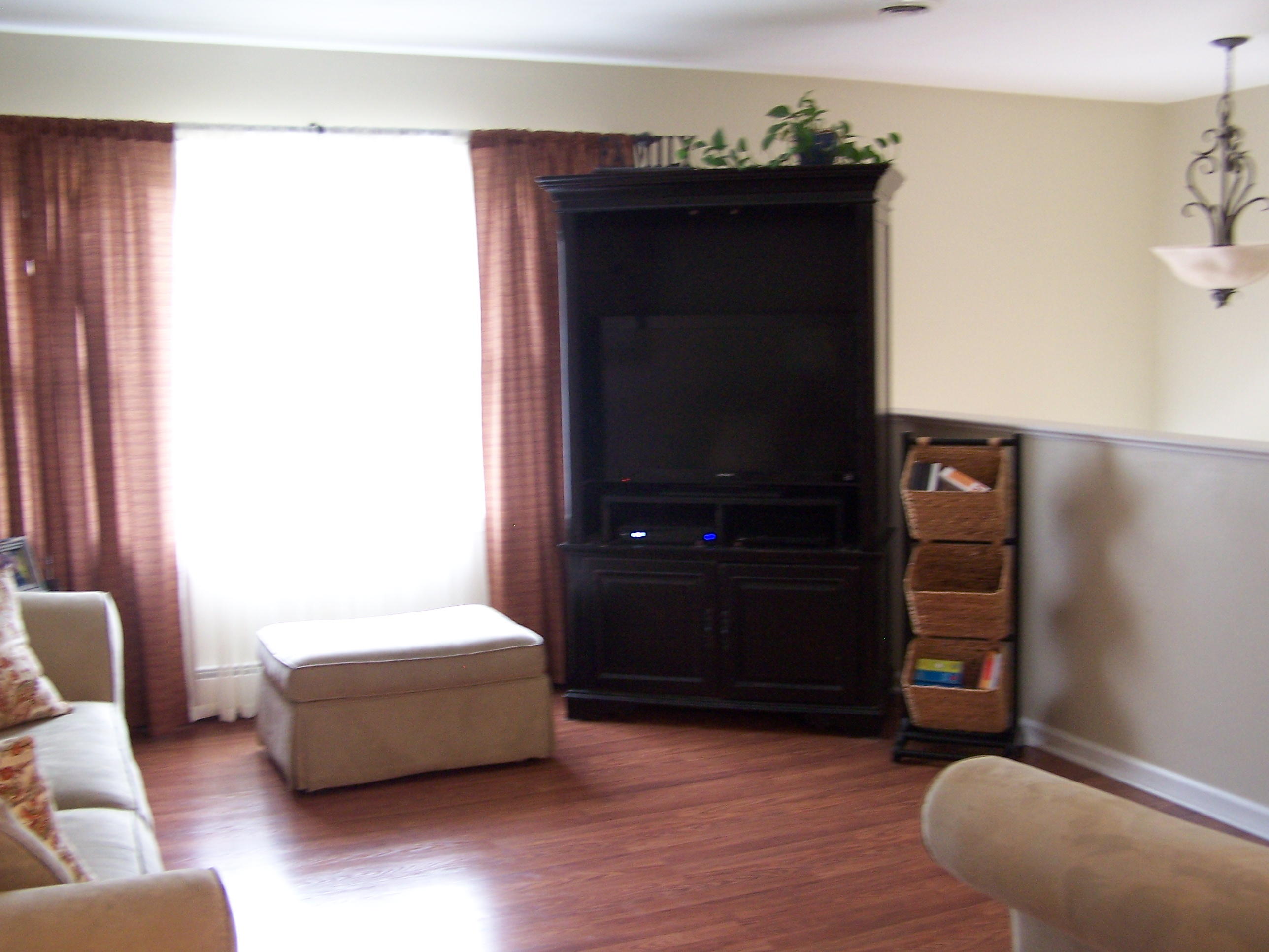 289 Scalybark Drive Blue Ridge, VA 24064 - Photo 4 of 73 Living Room (2)