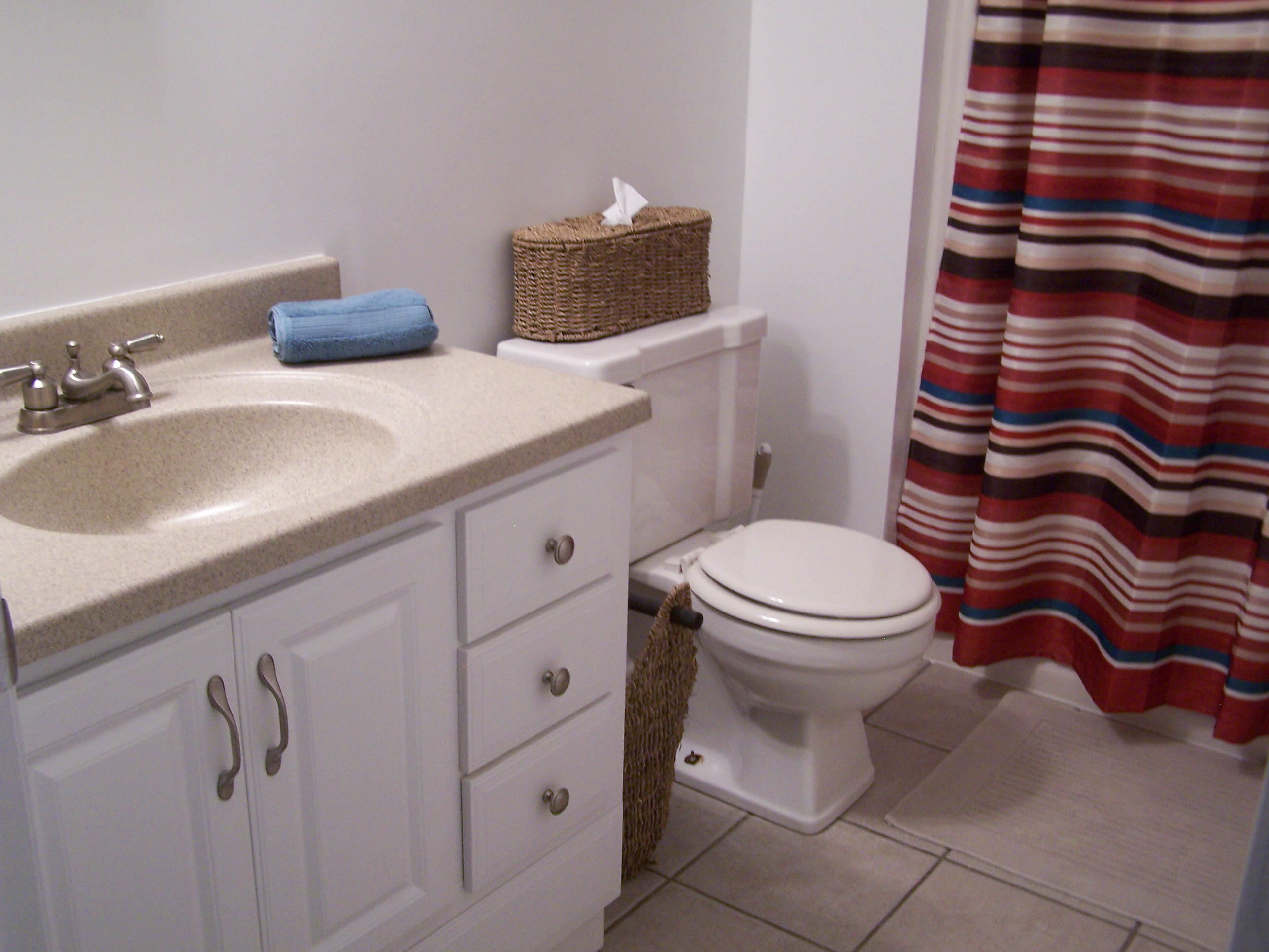 289 Scalybark Drive Blue Ridge, VA 24064 - Photo 47 of 73 a bathroom with a sink a toilet and mirror